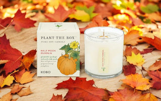 Plant The Box Half Moon Pumpkin Candle