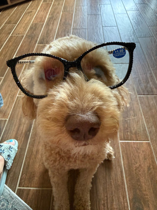 Rhinestone Readers 1.00