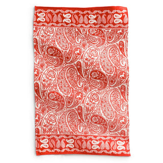 Vera Bradley Plush Throw Blanket Paisley Key