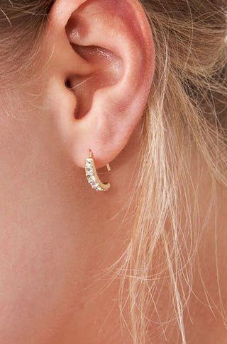 Spartina Arc Hoop Earrings Small/Crystal