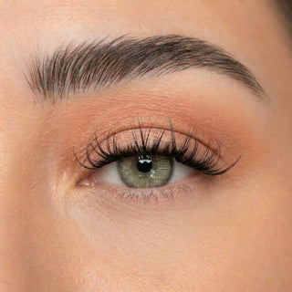 C& D Beauty Press And Go Lash Mini Kit
