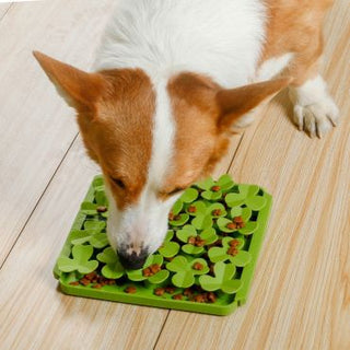 Clover Foraging Mat for Dogs
