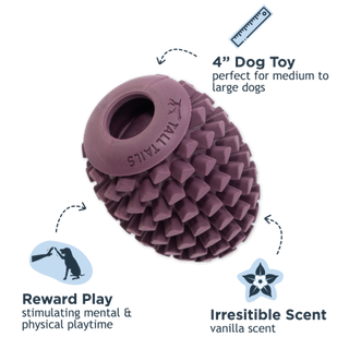 Rubber Pinecone Reward Dog Toy