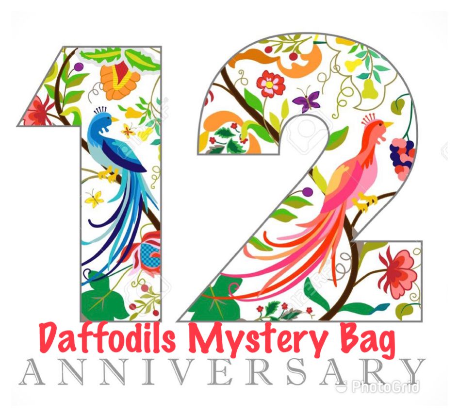 Anniversary Celebration Mystery Bag