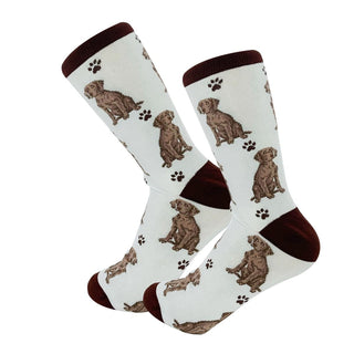 Dog Socks